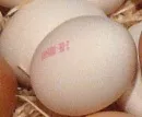 Bald nur noch jedes zweite Ei aus Deutschland