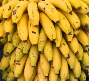 Bananen-Industrie