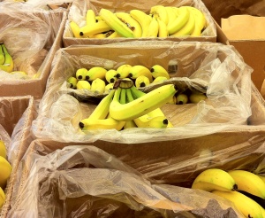 Bananenproduktion