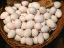 Bauern: Eierproduktion wird teurer