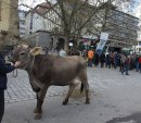 Bauernproteste 
