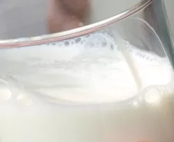 Beihilfefhige Milchmenge