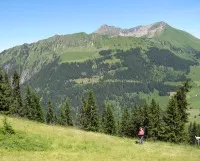 Bergbauern