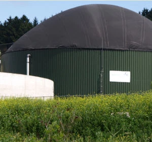 Biogasbetrieb