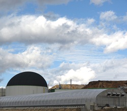 Biogasbranche Deutschland