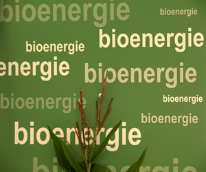 Biokraftstoffe Biodiesel Bioethanol
