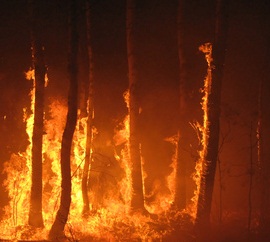 Brnde im Amazonasgebiet