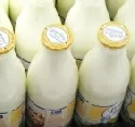 Campina bietet Landliebe-Milch ohne Gentechnik an