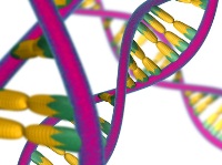 DNA-Analysen fr Tier- und Pflanzenzchtung