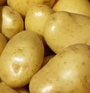 Die Botschafterin fr die rheinischen Kartoffeln