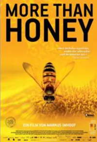 Dokumentarfilm More Than Honey