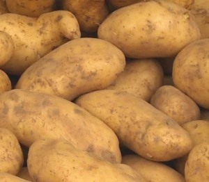 EEX-Kartoffelfuture
