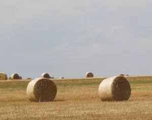 EU-Agrarpolitik