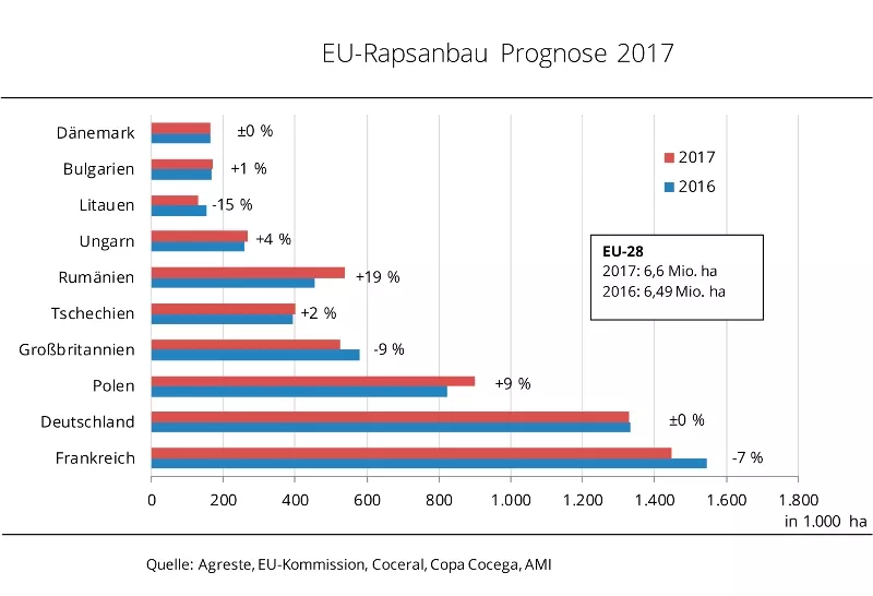 EU-Rapsflche