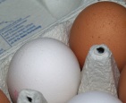 Eier-Kennzeichnung