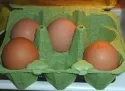 Eier knnten teurer werden - Handelsketten wollen keine Kfigeier
