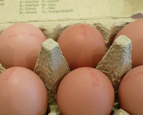 Eierproduktion in Thüringen 2016