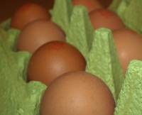 Eierproduktion