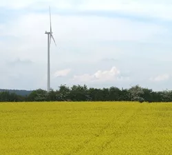 Erneuerbare Energien in Schwellen- und Entwicklungslndern