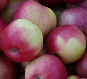 Ertragsaussichten fr Apfel