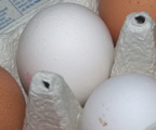 Europische Landwirte produzieren weniger Eier