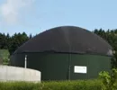 Experten diskutierten ber Energieerzeugung durch Biogas