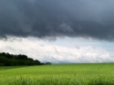Extreme Wetterlagen bereiten Landwirten Sorge 