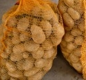 Festschalige Frhkartoffeln  auch im Jahr 2009 oberstes Qualittsziel