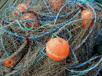 Fischerei nach Brexit