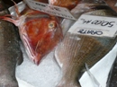 Fischerzeugnisse