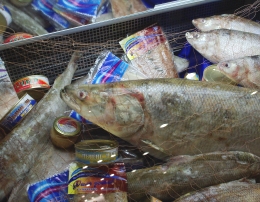 Fischprodukt