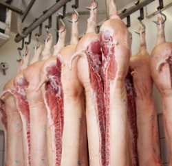 Fleischerzeugung NRW 2020