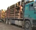 Forst-Minister Hans-Heinrich Ehlen fordert 44 Tonnen Regelung fr Holz LKW