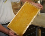Franzose produziert Honig auf dem Dach der Pariser Oper