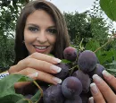 Freies Obst fr freie Brger: Preisgekrnte Internetseite zeigt, wo herrenloses Obst hngt