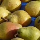 Fruchthandel: Rabattschlacht gefhrdet Produktion