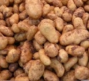 Frhkartoffeln 