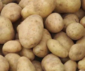 Frhkartoffeln aus Niedersachsen