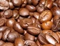 GEA baut Anlage fr Instantkaffee in Brasilien