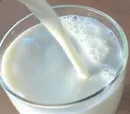 GEA erhlt Auftrag ber 20 Mio. EUR fr Milchfabrik in Neuseeland