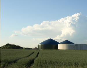 Grreste aus Biogasanlagen