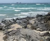 Galpagos von Roter Liste gestrichen