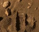 Gemseanbau auf dem Mars 