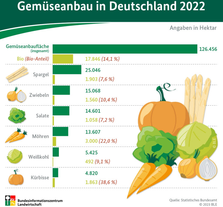 Gemüseernte 2022