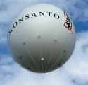 Gentechnik-Konzern Monsanto baut Gewinn und Umsatz leicht aus