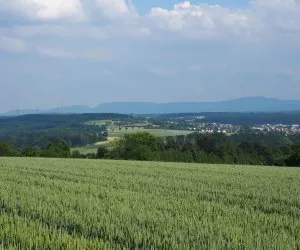Getreideanbau in Brandenburg 2017