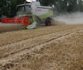 Getreideernte 2021 Ukraine