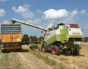Getreideernte 2022 Polen