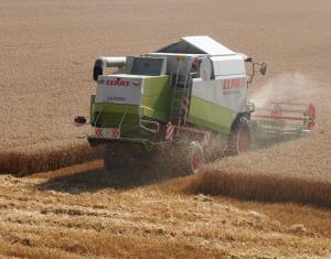 Getreideernte 2022 Russland