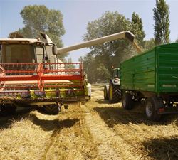 Getreideernte Ekosem-Agrar 2013